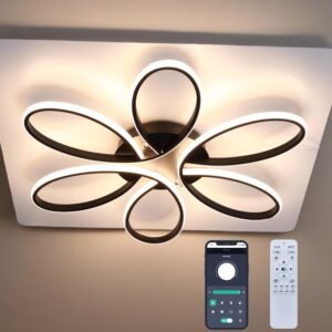 Modern LED Ceiling Light Fixture