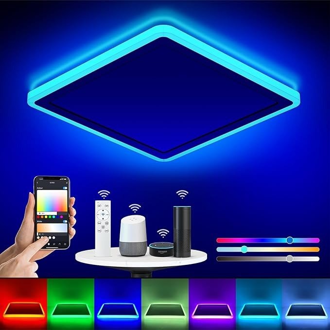 Smart Ceiling Lights
